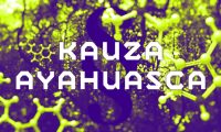 Prohlášení CZEPS ke kauze ayahuasca