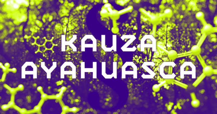 Prohlášení CZEPS ke kauze ayahuasca